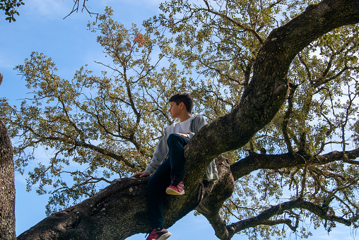 Child climbing a tree and looking to the side.