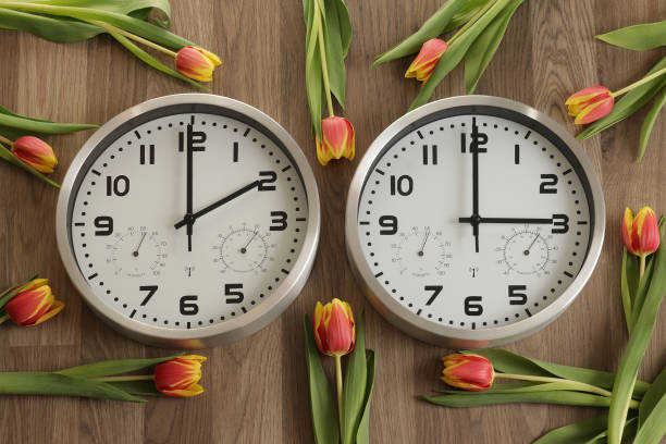 deux horloges, l’une indiquant deux heures, l’autre trois heures. les tulipes traînent. - minute hand number 15 clock time photos et images de collection