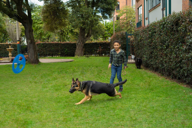 istock African American boy plays throwing a rolling disk to his German Shepherd dog. Enjoy a nice day in the park. 1474715706