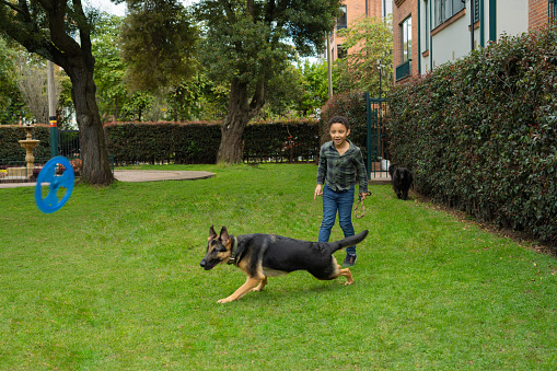 African American boy plays throwing a rolling disk  to his German Shepherd dog. Enjoy a nice day in the park.