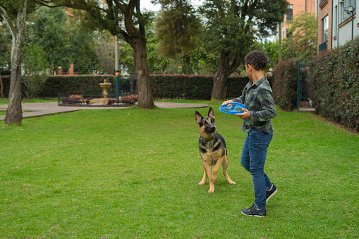 African American boy plays throwing a rolling disk  to his German Shepherd dog. Enjoy a nice day in the park.