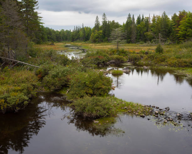 istock Northern New England in late September 1474718347