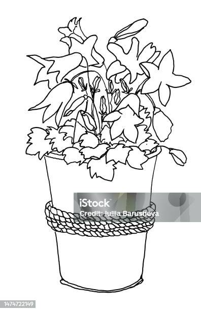 Flower Pot Ink Ink Outline Flowers Bluebell In The Pot Stock Illustration - Download ...