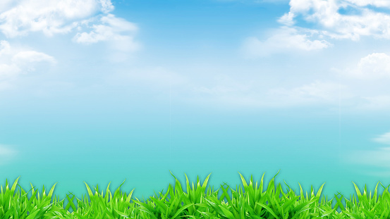 fresh green grass against bright blue sky and clouds with beautiful bokeh, background and design wallpaper with empty space to insert text