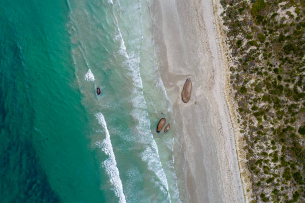 istock The Granites beach in South Australia 1474727479