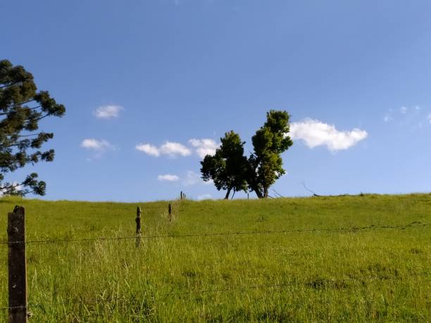 istock Santa Catarina Landscape 1474728714
