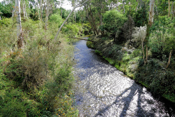 Ovens River flowing through the High Country