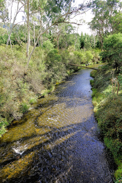istock Bright,  Victoria,  Australia 1474737575