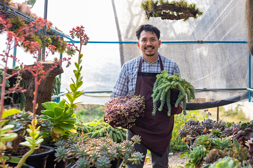 Asian gardener is working inside the greenhouse full of succulent plants collection while holding one healthy pot for ornamental garden and leisure hobby
