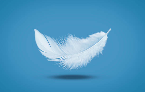 istock Abstract White Bird Feather Falling in The Air. Float Feather 1474747489