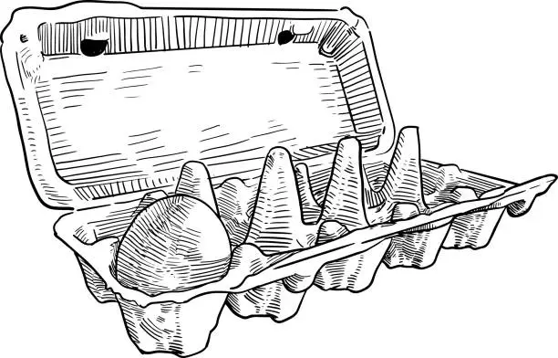 Vector illustration of egg in egg carton clean version.