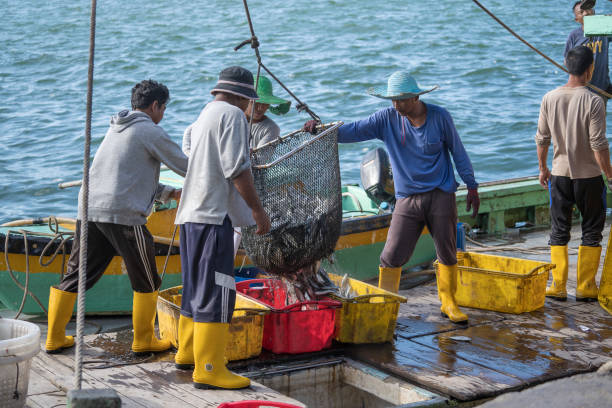 pescadores malasios cargan pescado capturado de un barco en contenedores de plástico en el mercado callejero en kota kinabalu, malasia - fishermen harbor fotografías e imágenes de stock