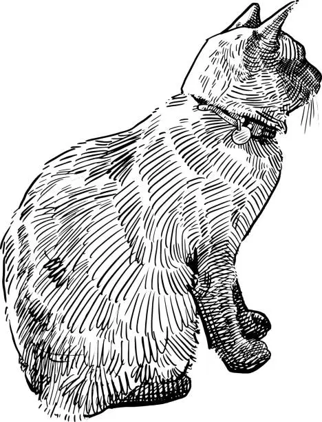 Vector illustration of sitting cat