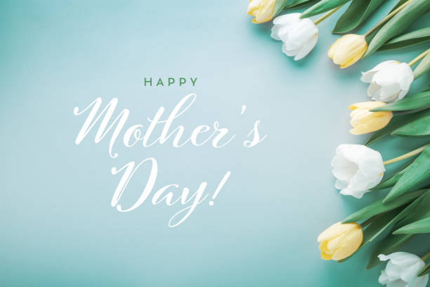 Happy mothers day greeting card with floral border of fresh tulips. Floral border of tulip on pastel background top view. Happy mothers day greeting card. mothers day stock pictures, royalty-free photos & images