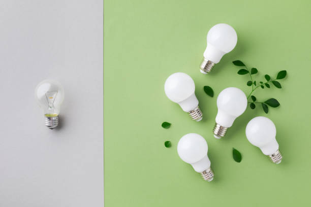 modern led lights with green sprout energy saving eco concept against incandescent lightbulbs top view. power efficiency and nature protection. - fluorescent light resourceful energy fuel and power generation imagens e fotografias de stock