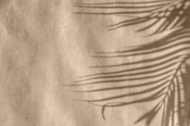 istock Tropical palm leaves blurry sunlight shadows on neutral beige textile, aesthetic minimalist summer background 1474760001