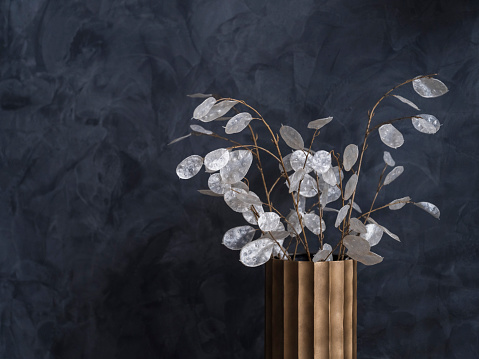 plant with white / silver leaves in golden vase in front of dark blue stucco wall