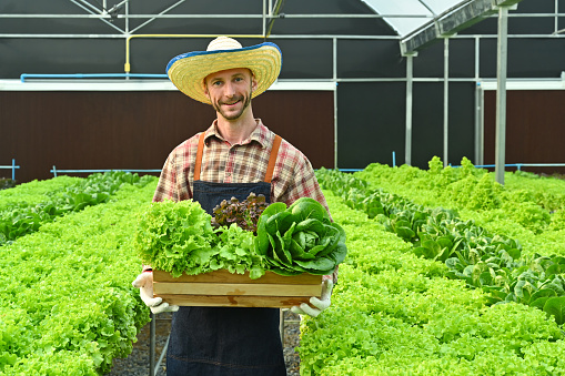 Portrait of smiling farmer holding wooden crate full of fresh organic vegetables from farm. Agriculture business concept.