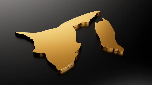 Brunei exclusive gold map on black background 3d illustration