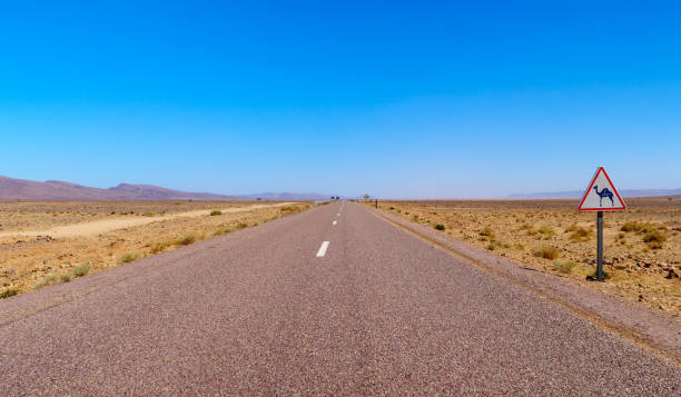istock road trip in Morocco with dromadery road sign 1474769580