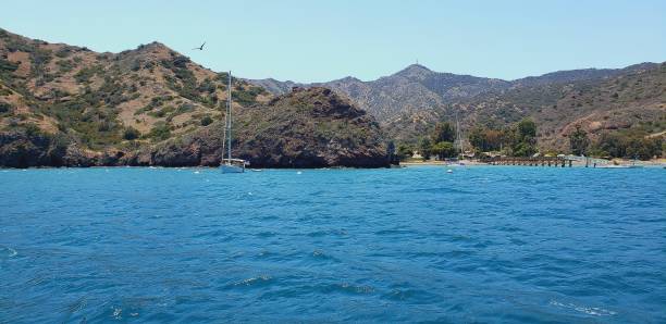 paseo marítimo de la isla catalina - avalon california fotografías e imágenes de stock