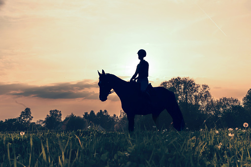 silhouette of horsewoman riding her horse in the field in the sunset light