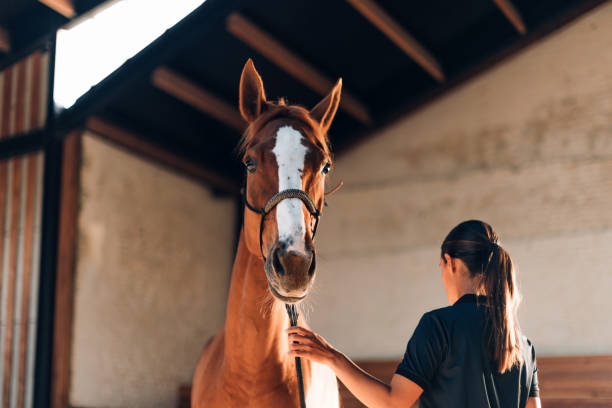 istock horse at the riding center with an instructor 1474773798