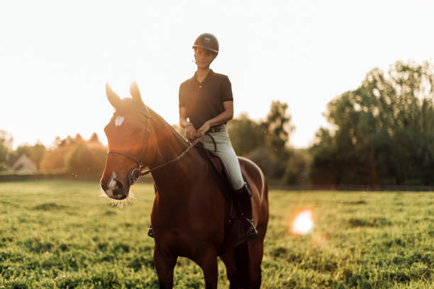 retrato do cavalo ao pôr do sol com seu jóquei - camel ride - fotografias e filmes do acervo