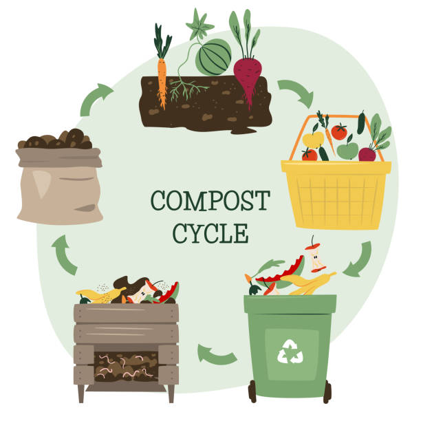 Compost life circle infographic. Composting process. Recycling organic waste from collecting kitchen scraps to use compost for farming. Zero waste concept. Hand drawn vector illustration. Compost life circle infographic. Composting process. Recycling organic waste from collecting kitchen scraps to use compost for farming. Zero waste concept. Hand drawn vector illustration. soil sample stock illustrations