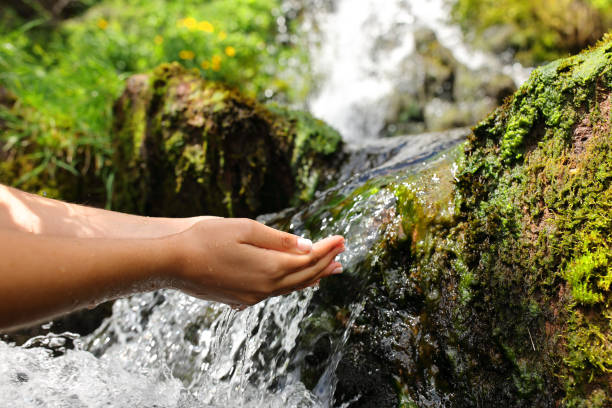 istock Woman hands catching water from creek 1474778153