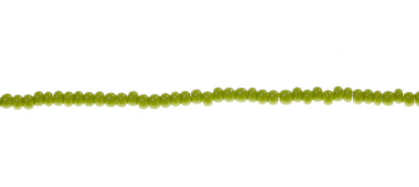 istock green beads strung on a string isolated on a white background 1474781254