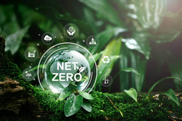 istock Net zero and carbon neutral concept.Globe Glass with sNet zero icons In Green Forest With Sunlight. net zero greenhouse gas emissions target Climate neutral long term strategy on a green background. 1474783466