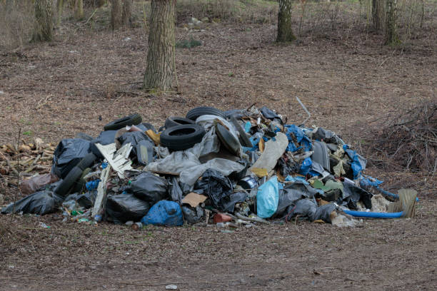 istock Garbage in a Forest, Illlegal fly tipping. 1474783525