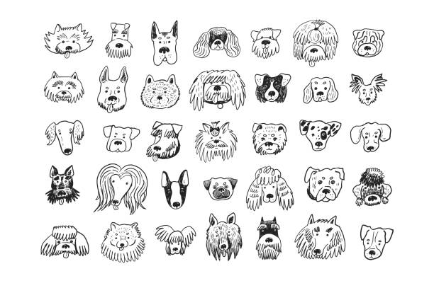 hund lustige tiergesicht vektor illustrationen gesetzt. - animal tongue stock-grafiken, -clipart, -cartoons und -symbole