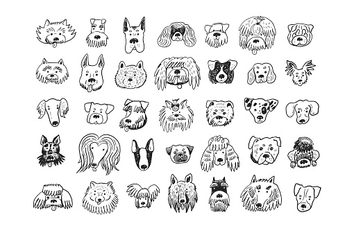 Dog funny animal face vector illustrations set.