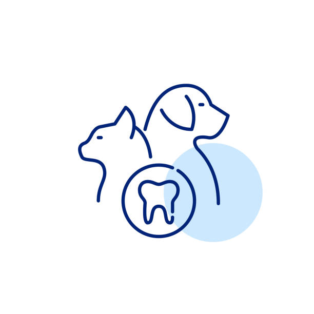 usługi dentystyczne dla zwierząt. kot, pies i ząb. idealna piksel, edytowalna ikona linii obrysu - vet symbol dentist healthcare and medicine stock illustrations
