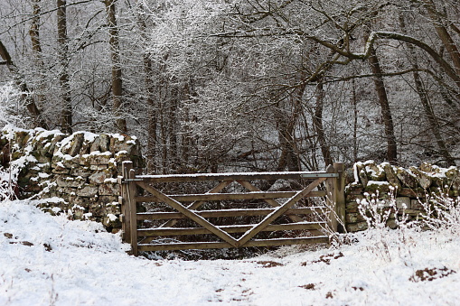 Gate in a snow covered field leading into a winter woodland