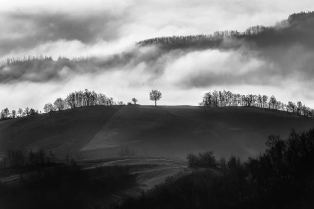 istock Layers in the fog 1474788086