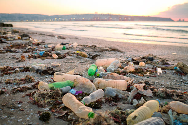 Discarded plastic waste on the beach in sunset. Environmental pollution and ecological problems concept. stock photo
