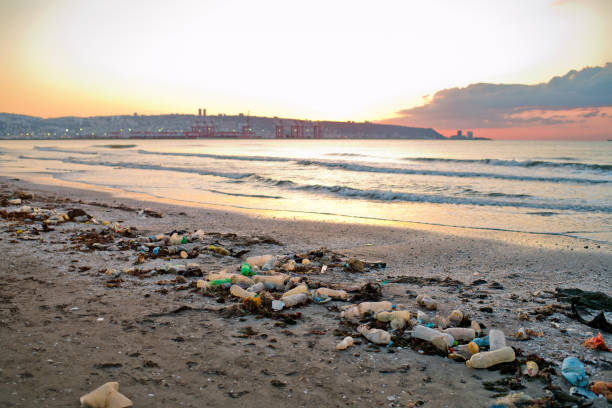 istock Discarded plastic waste on the beach in sunset. Environmental pollution and ecological problems concept. 1474788422