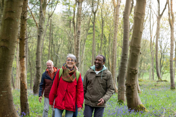 istock Friends Walking in the Woods 1474789183