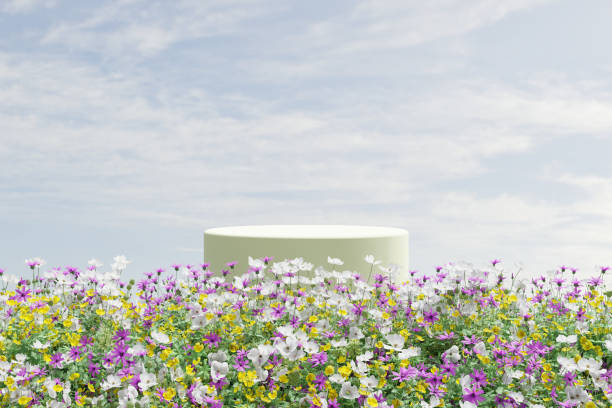 istock Abstact 3d render spring scene and Natural podium background,  White stone podium on the colorful flowers and grass field, backdrop clear blue sky for product display advertising or etc 1474789293