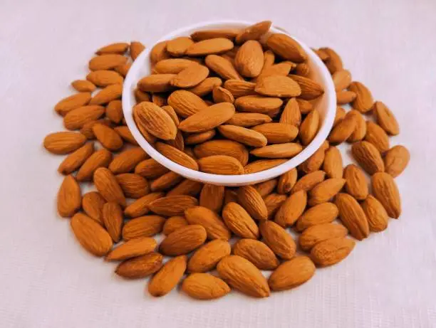 Almonds nuts food badam sweet almond nut  Lauz  amendoa badem  mandle  orechor amandel almendra, manteli amande mandorla Badem qua hanh Prunus dulcis closeup view image stock photo