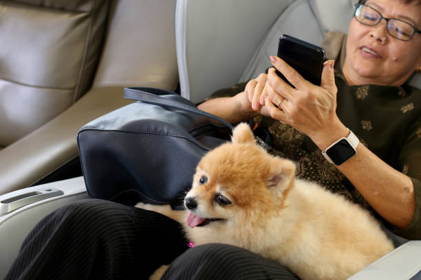 istock Massage Chair Relaxing 1474791505