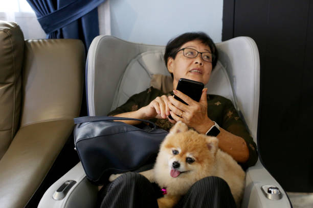 istock Massage Chair Relaxing 1474791506