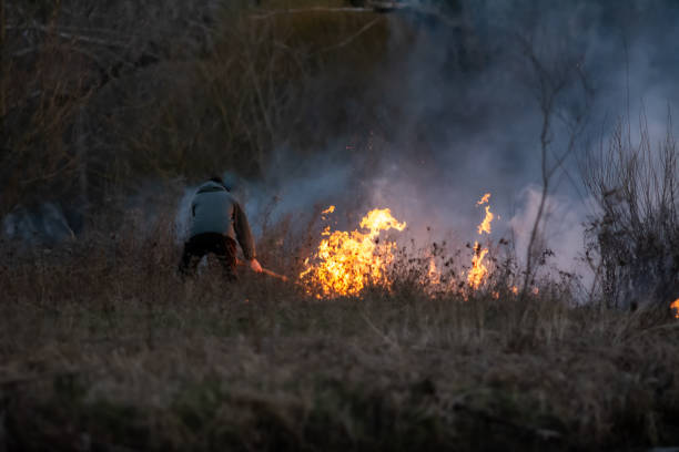 Controlled stubble burning in the field