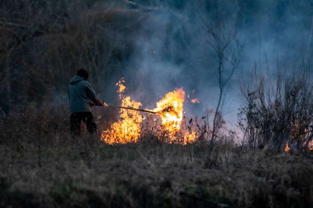 istock A dangerous game with fire in the field 1474792975