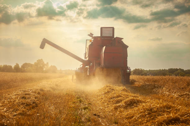 istock A large agricultural harvester mowing in a field with grain 1474797821