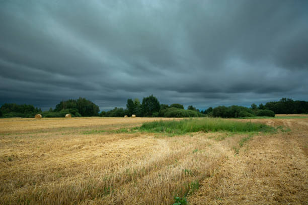istock Dark storm clouds over stubble field, summer day 1474797847