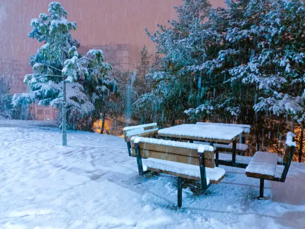 Photo of it's snowing on the benches in the park at night